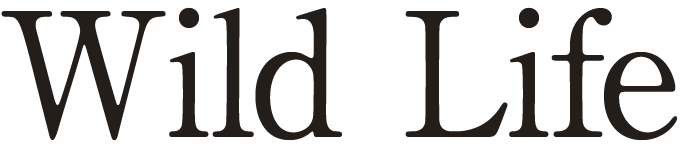 Wild Life